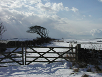 War Dyke, Yorkshire.  Photo by Gillian Rimington copyrighted but also licensed for further reuse